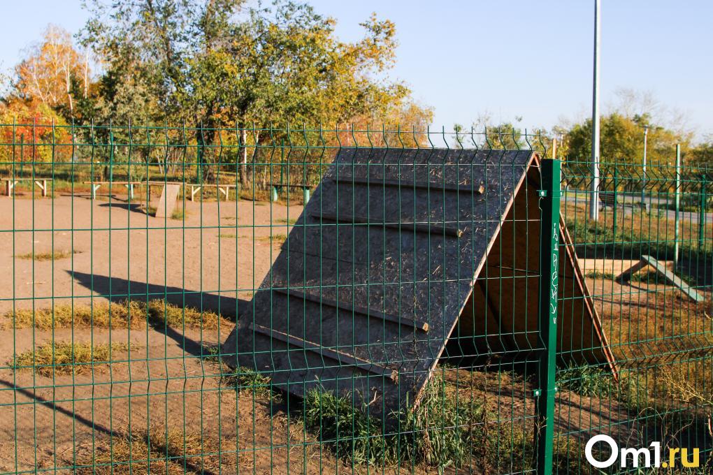 Сколько в Омске собачьих площадок и что с ними не так? Разбираемся с экспертом