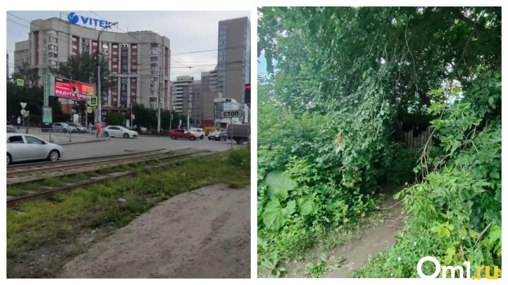 Бомжи обустроили шалаш в центре Новосибирска и живут там полгода
