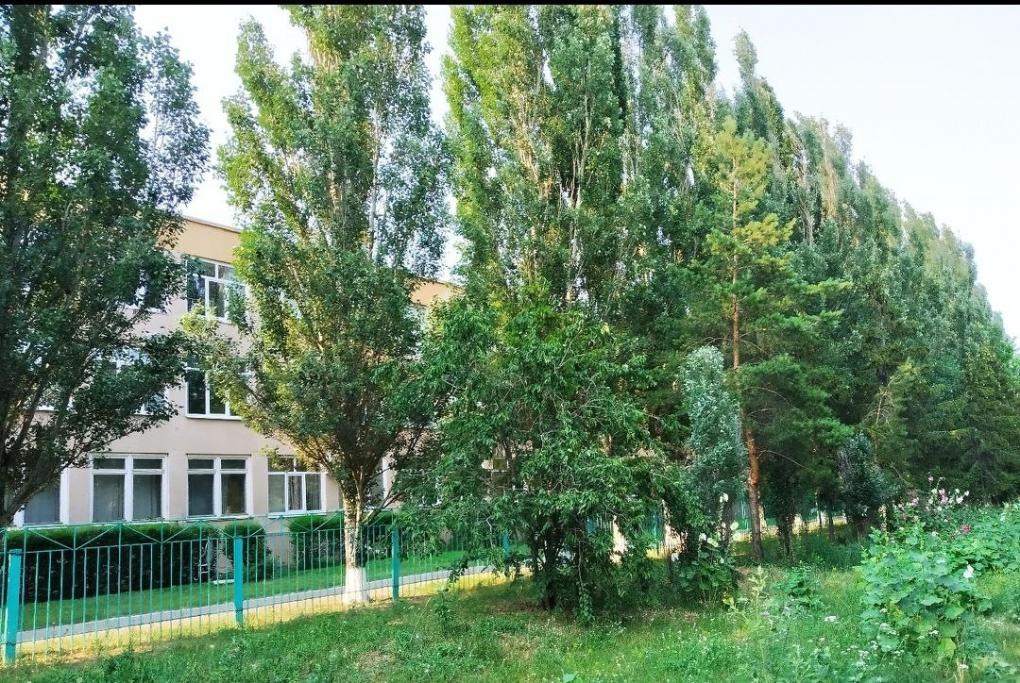 Топ омских школ: где сдают ЕГЭ на 100 баллов?