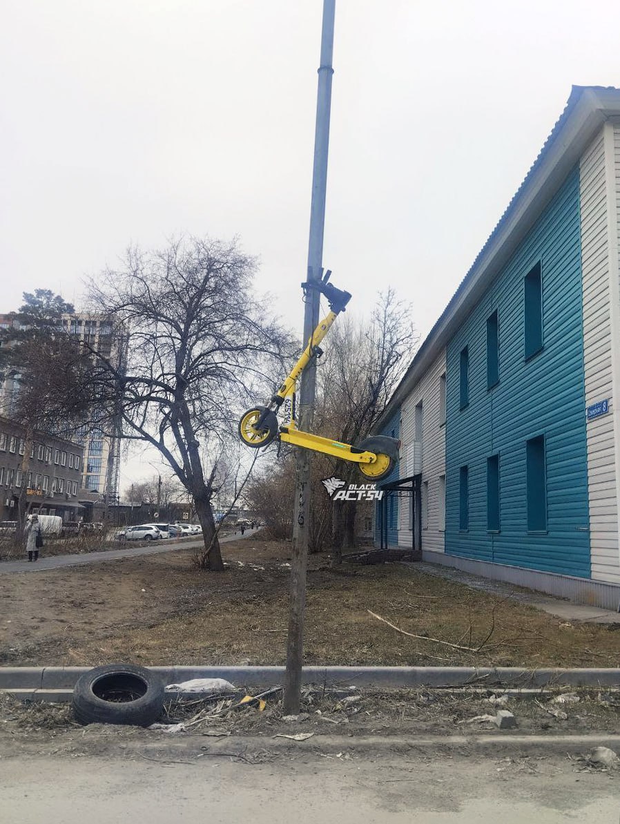 Арендные самокаты в Новосибирске стали жертвами вандалов-авангардистов