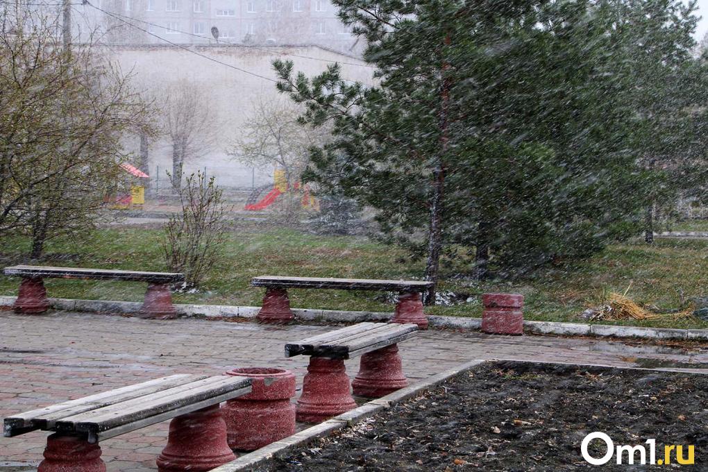 Как Омск встретил снегопад в апреле: фоторепортаж с городских улиц
