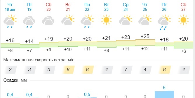 Лето остаётся? Потепление придёт в Новосибирск