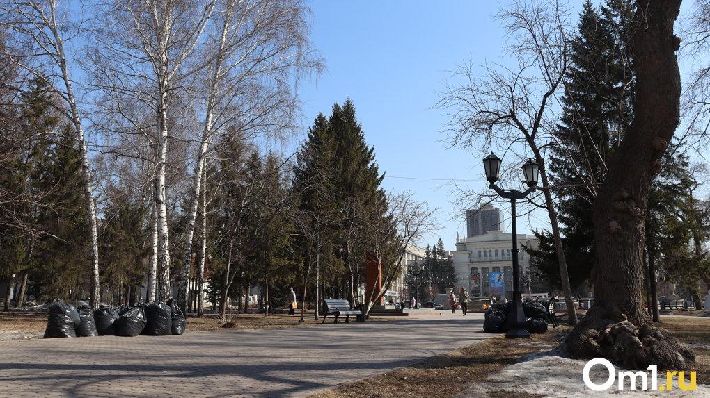 Как подготовиться к городскому субботнику? Советы для новосибирцев на 27 апреля