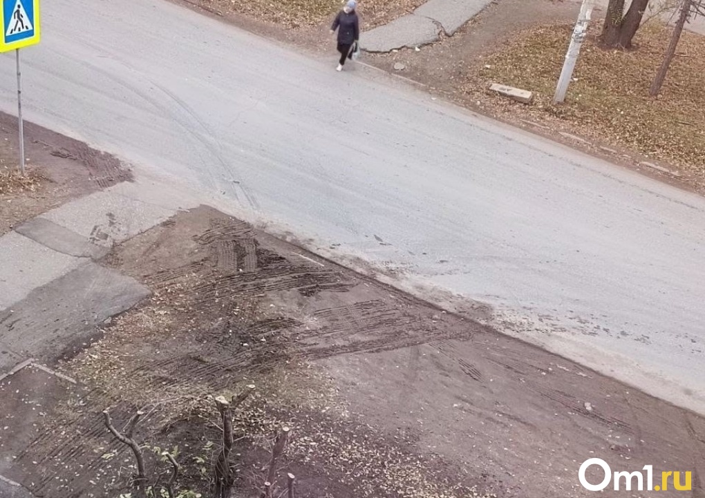 Сначала деревья, теперь грязь: омичи вновь жалуются на магазин в Нефтяниках