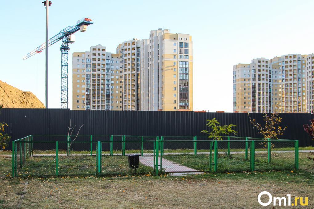 Сколько в Омске собачьих площадок и что с ними не так? Разбираемся с экспертом