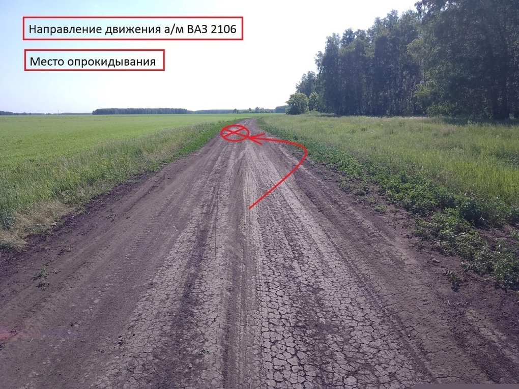 В Омской области пятеро детей перевернулись на «шестёрке»
