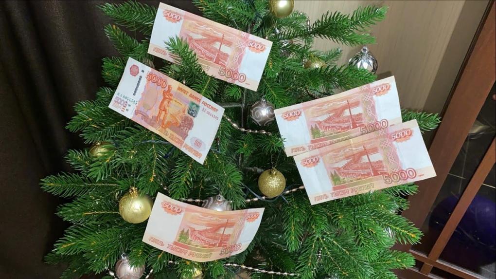 Где купить новогоднюю ёлку в 2024 в Новосибирске? Эти советы принесут атмосферу сказки в ваш дом