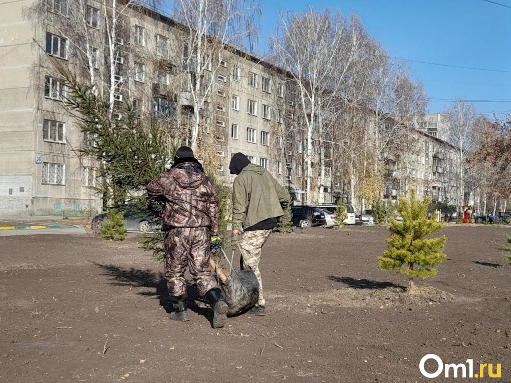Новые парковки, сквер и ливнёвка: двор на Чемской преобразился после обращений новосибирцев