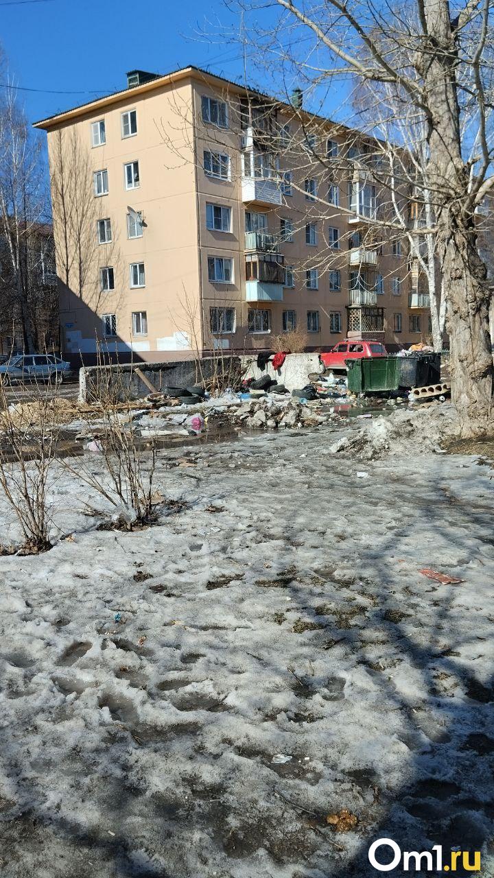 Омичка пожаловалась на замусоренный школьный двор в Нефтяниках
