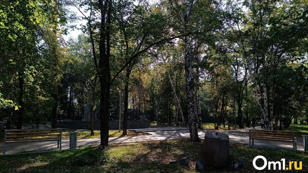 От «Чёртова городища» до современного мегаполиса: история Октябрьского района Новосибирска