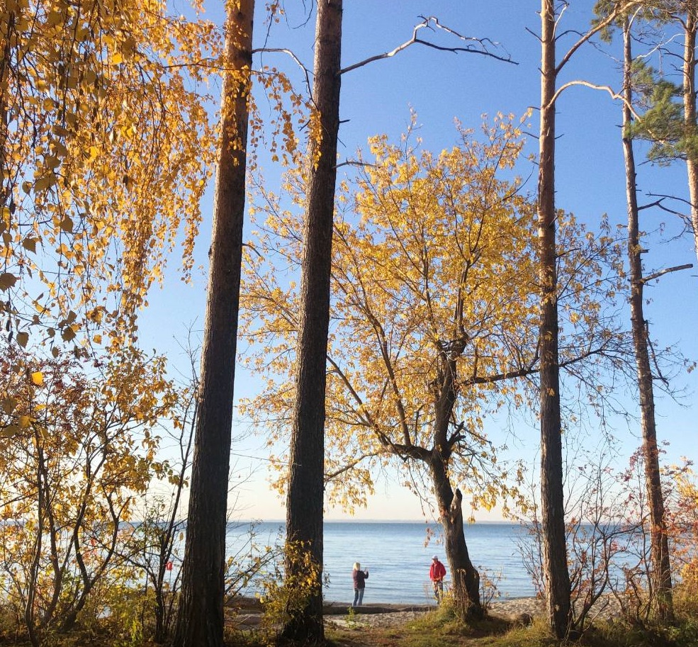 Блогер из Новосибирска рассказал о местах для красивых осенних фотографий. ФОТО