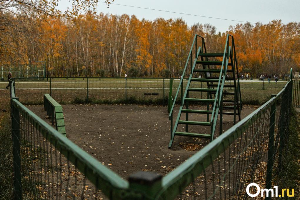 Сколько в Омске собачьих площадок и что с ними не так? Разбираемся с экспертом