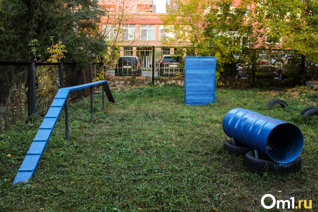 Сколько в Омске собачьих площадок и что с ними не так? Разбираемся с экспертом