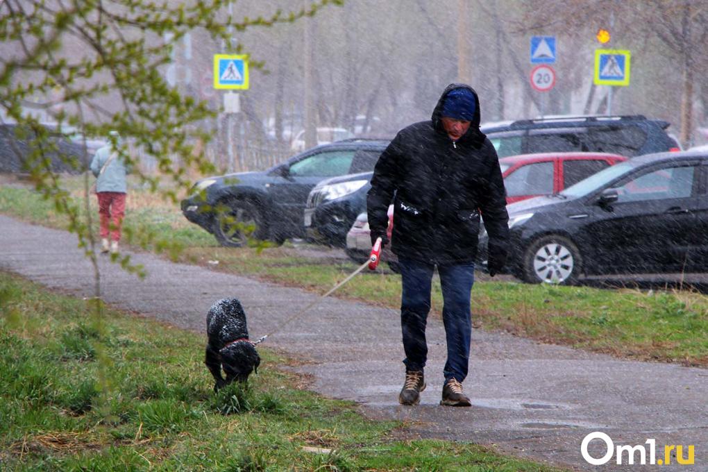 Как Омск встретил снегопад в апреле: фоторепортаж с городских улиц