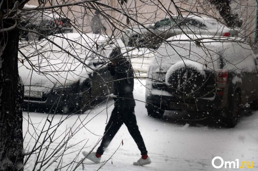Омск накрыло снегопадом