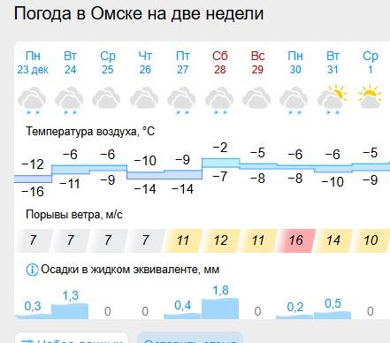 Опубликован прогноз погоды на 31 декабря в Омске