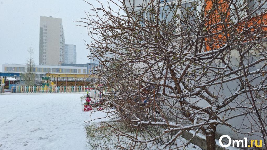 В Омске в апреле выпал снег: фоторепортаж из заснеженного города
