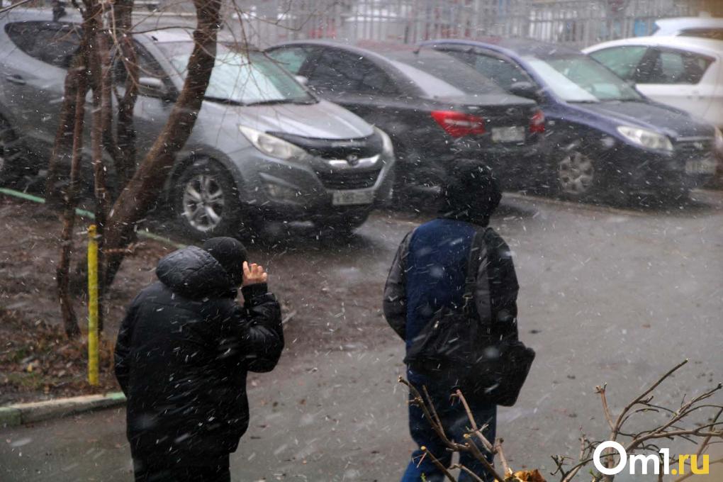 Как Омск встретил снегопад в апреле: фоторепортаж с городских улиц