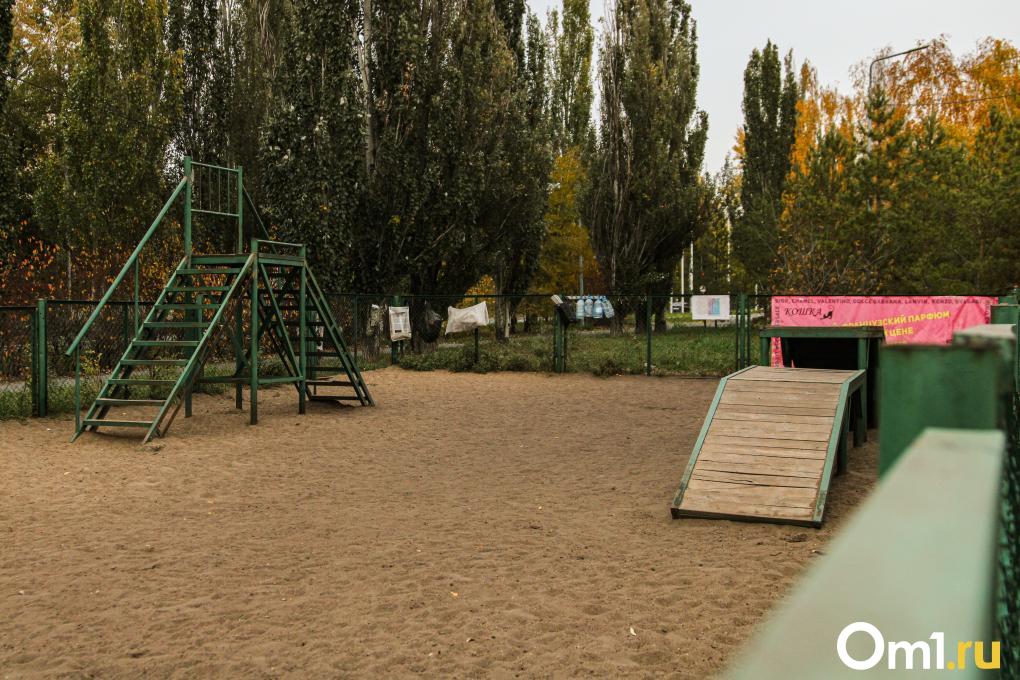 Сколько в Омске собачьих площадок и что с ними не так? Разбираемся с экспертом