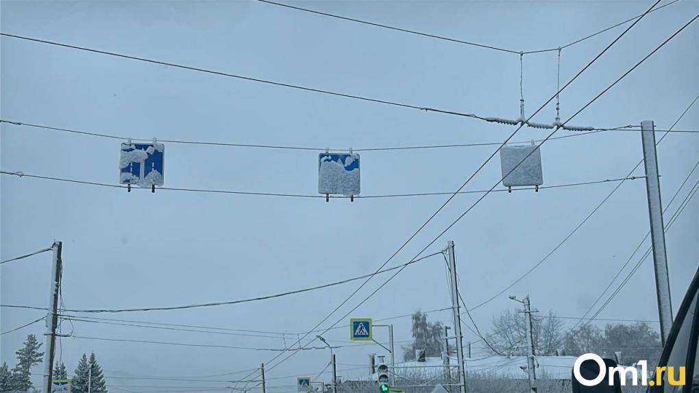 Омск накрыло снегопадом