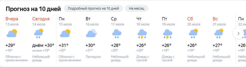 С 14 июля новосибирцев ожидают дожди с жарой до +31 градуса