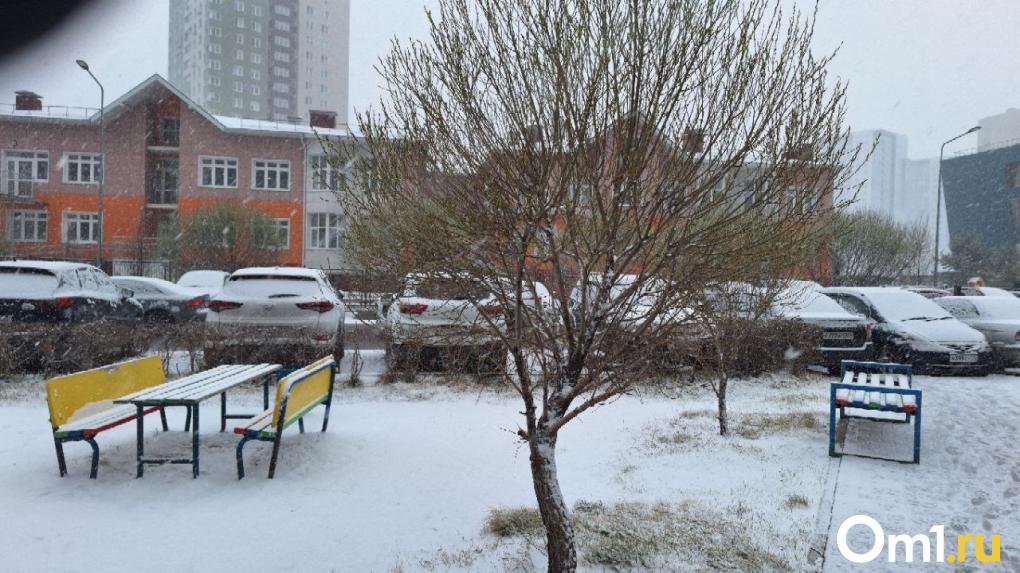 В Омске в апреле выпал снег: фоторепортаж из заснеженного города