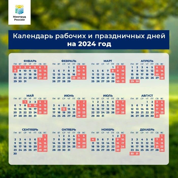 Омичей ждёт короткая рабочая неделя