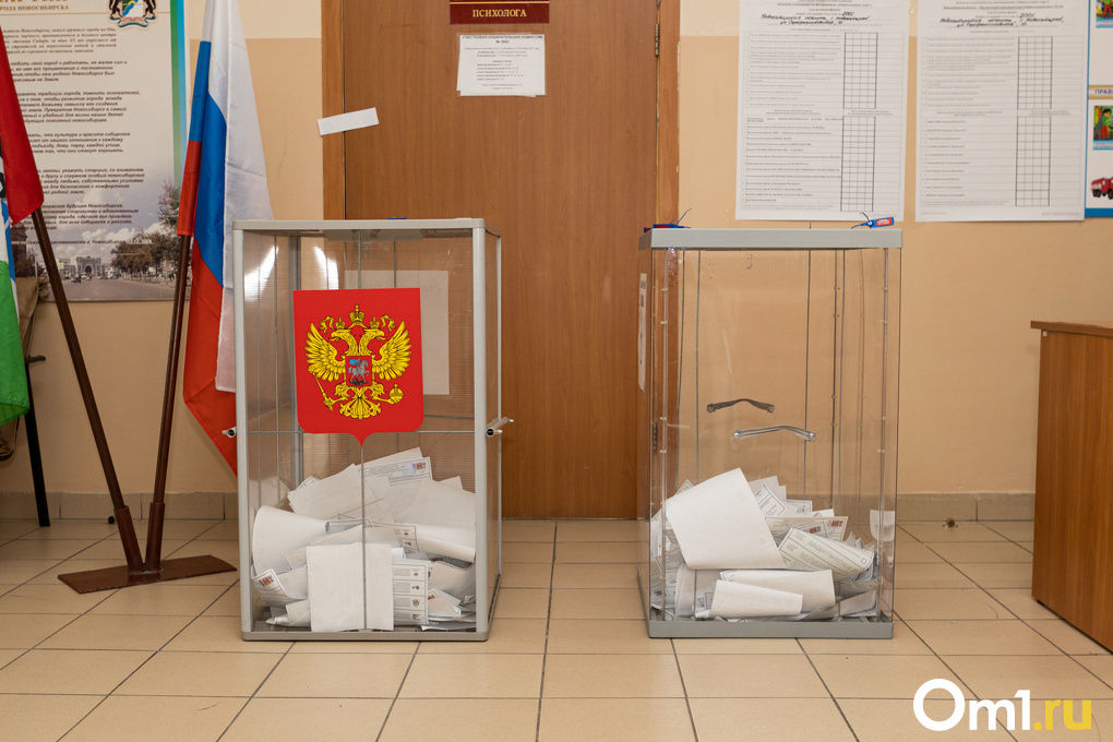Прогресс или фальсификация? Новосибирские эксперты высказались об эффективности электронного голосования