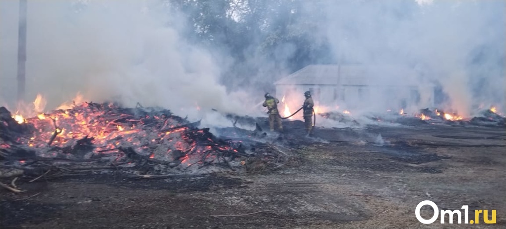 В Амуре за «Лентой» в Омске вспыхнуло поле с травой - ВИДЕО