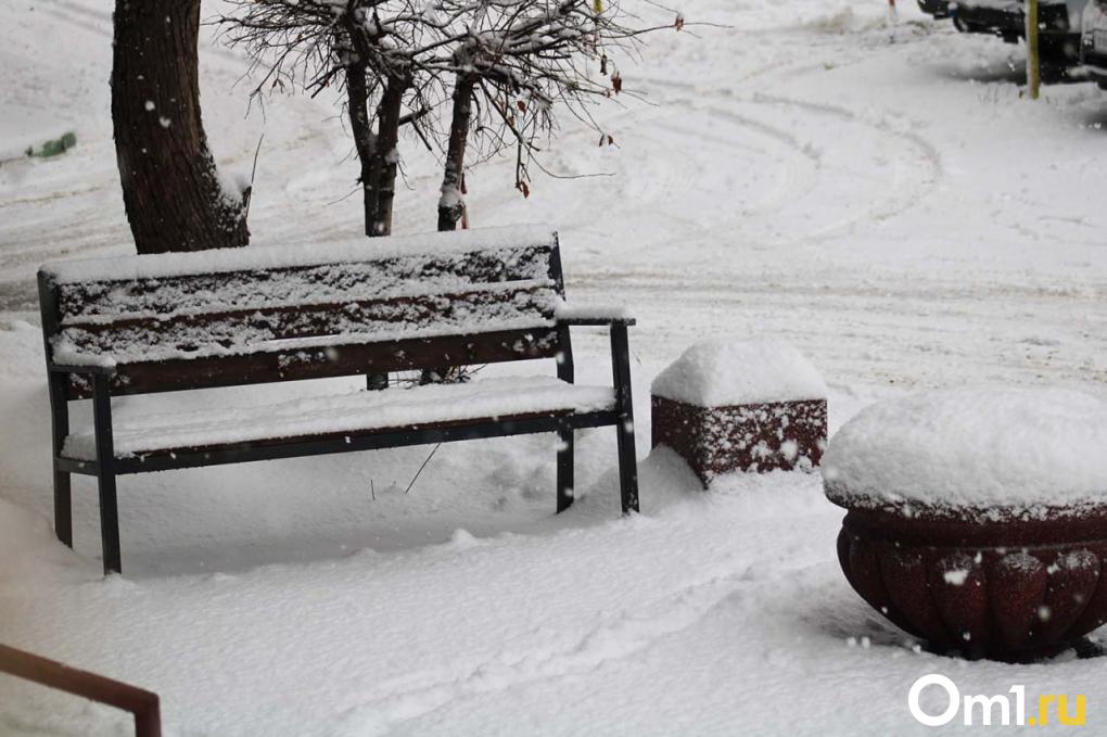 Омск накрыло снегопадом