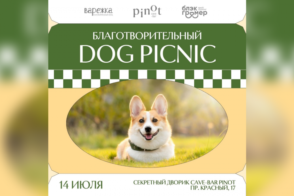 Гастрофест или танцы на фестивале красок? Куда сходить на выходных в Новосибирске 12–14 июля