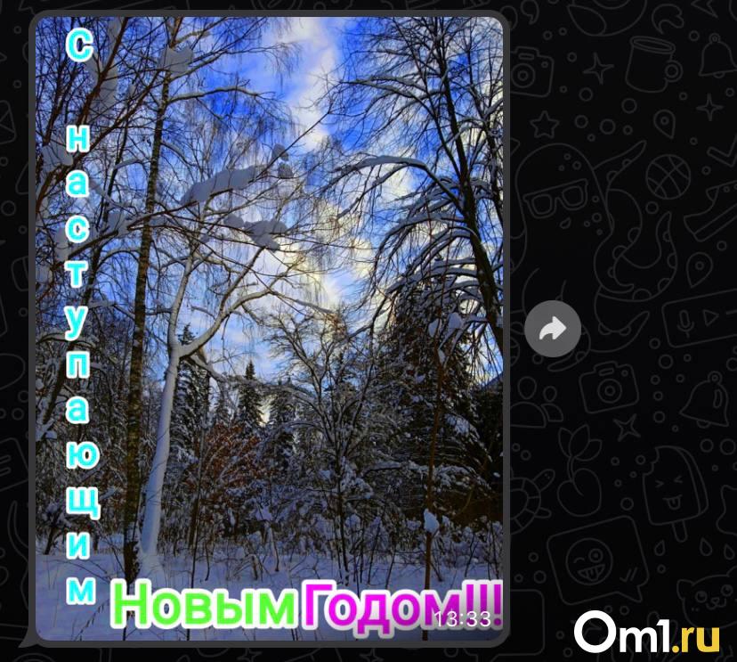 Зачем они постоянно шлют открытки и гифки в WhatsApp? Отвечаем на извечный вопрос