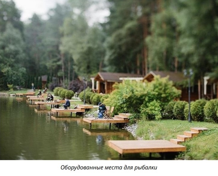 Косу «Зелёного острова» в Омске отдадут под отдых с элементами «роскоши» отеля