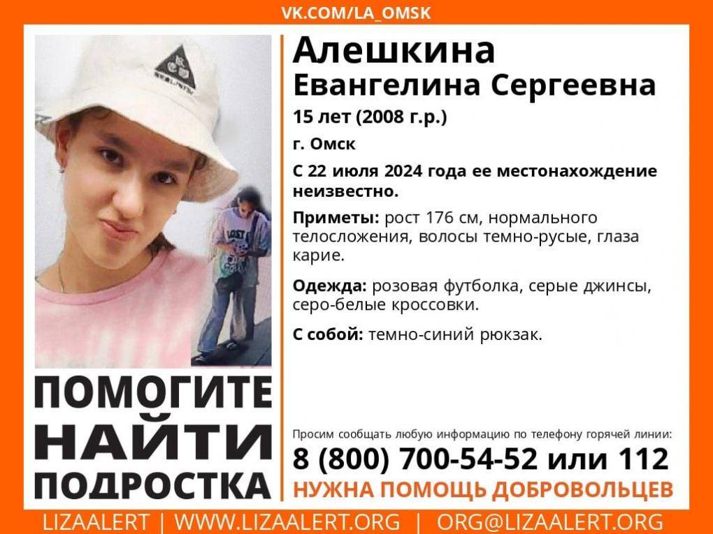 В Омске набирают волонтёров для поисков школьницы, пропавшей в парке Победы