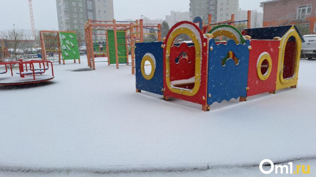 В Омске в апреле выпал снег: фоторепортаж из заснеженного города