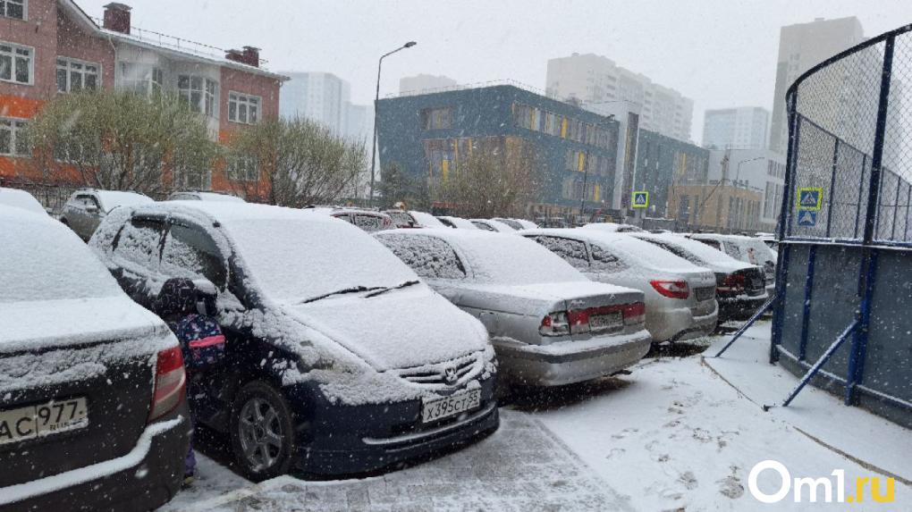 В Омске в апреле выпал снег: фоторепортаж из заснеженного города