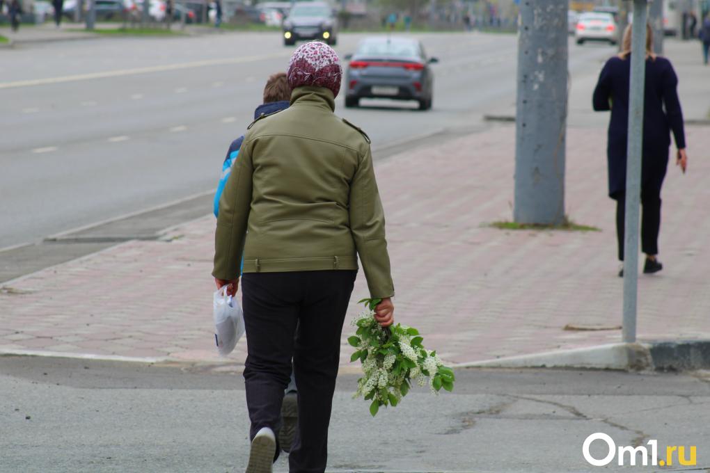В Омске перед заморозками зацвела черёмуха