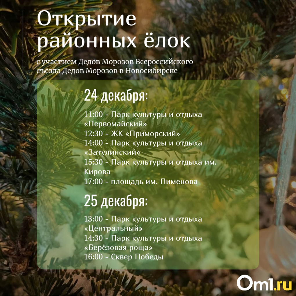 Куда пойти в Новосибирске на новогодних каникулах. Подборка мероприятий от портала Om1.ru