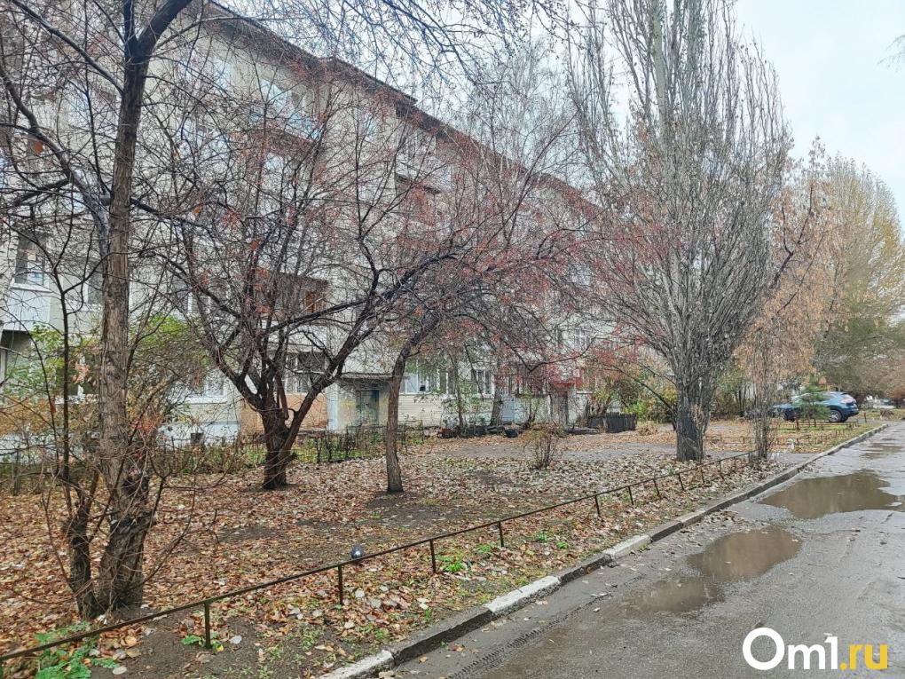 «Считала её святой»: омичка — о свекрови, напавшей с молотком на маленького внука