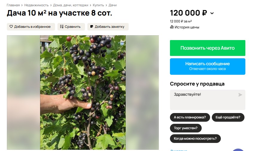 Под Омском продают крохотную дачу по цене айфона