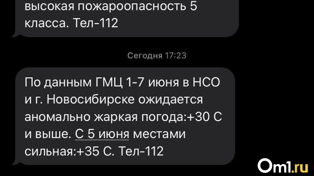 Новосибирцам приходят сообщения от МЧС с предупреждением об аномальной жаре в регионе