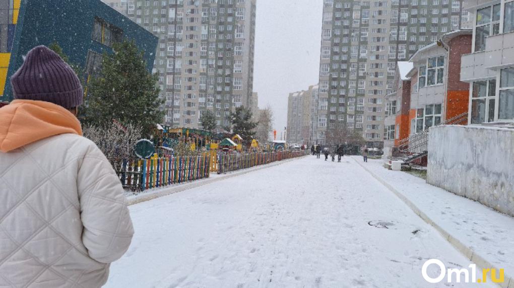 В Омске в апреле выпал снег: фоторепортаж из заснеженного города