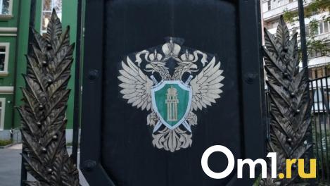 Директор школы-интерната в НСО отделалась предупреждением после гибели девочки