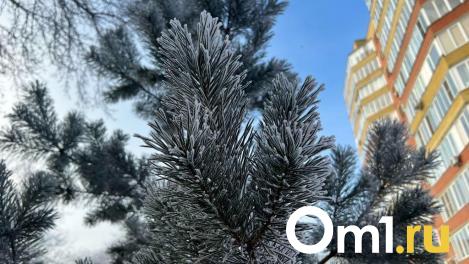 Под конец января в Омск и область придёт мощное потепление