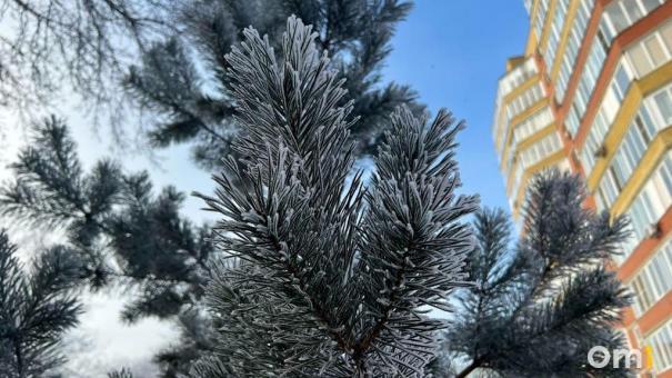 Под конец января в Омск и область придёт мощное потепление