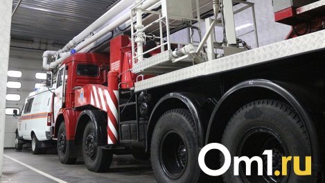 В Новосибирске загорелась квартира в девятиэтажке