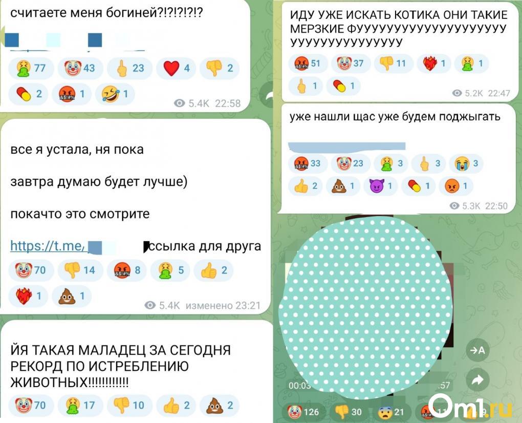 Омский Телеграм заполонили живодëрки и стрелки. Это фейк или реальная опасность?
