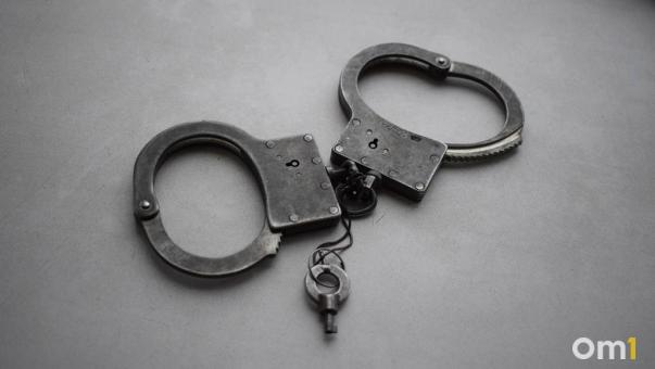 В Омской области пятерых иностранцев отправили в СИЗО за незаконное пересечение границы
