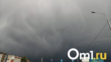 Близ Омска прошёл смерч