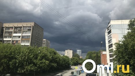 Дожди и грозы ожидаются на неделе в Новосибирской области